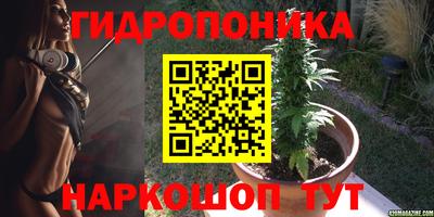 стаф Новокубанск