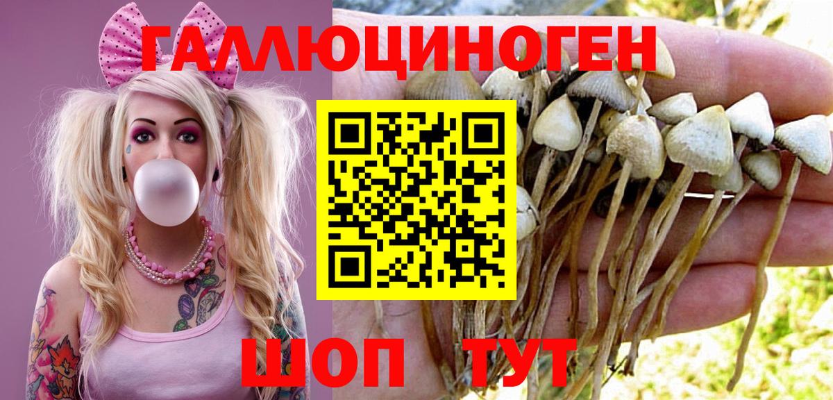 Псилоцибиновые грибы Psilocybine cubensis  купить   Саянск  Вход с VPN 