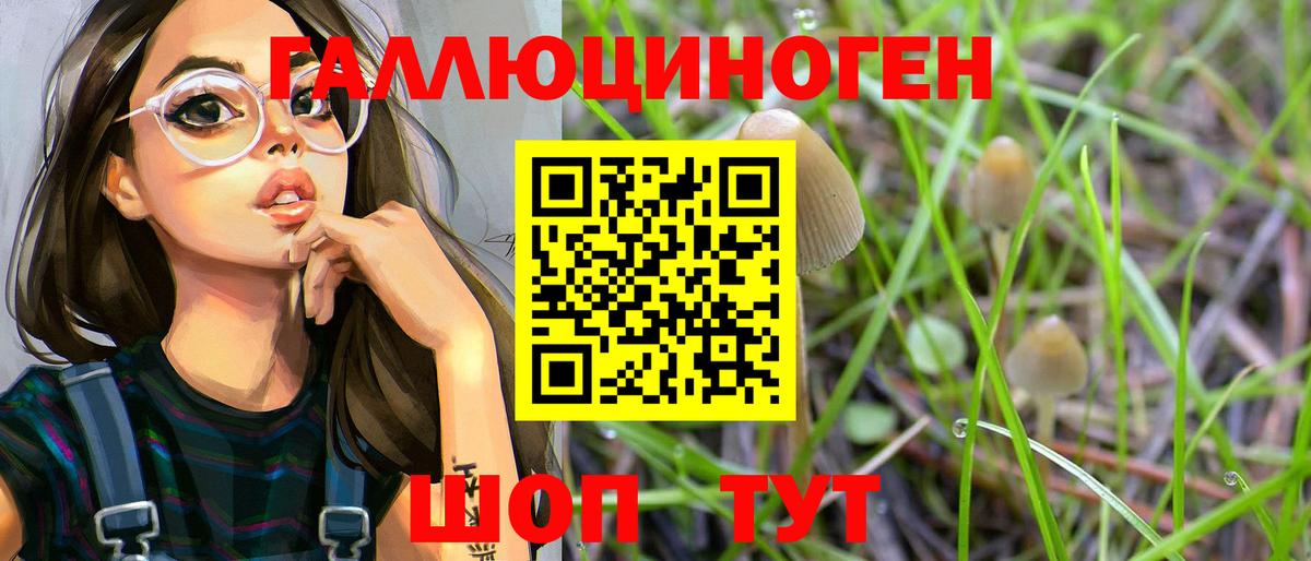 Псилоцибиновые грибы Саянск
